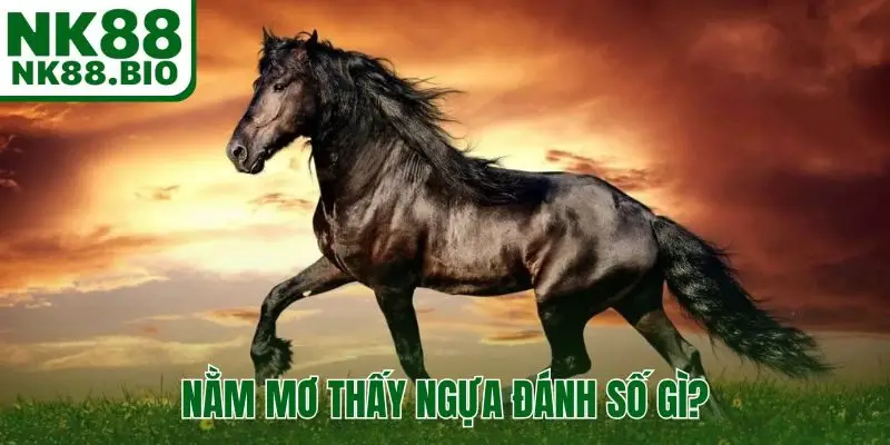 Nằm mơ thấy ngựa đánh số gì?